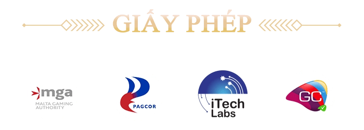 giay-phep-98win